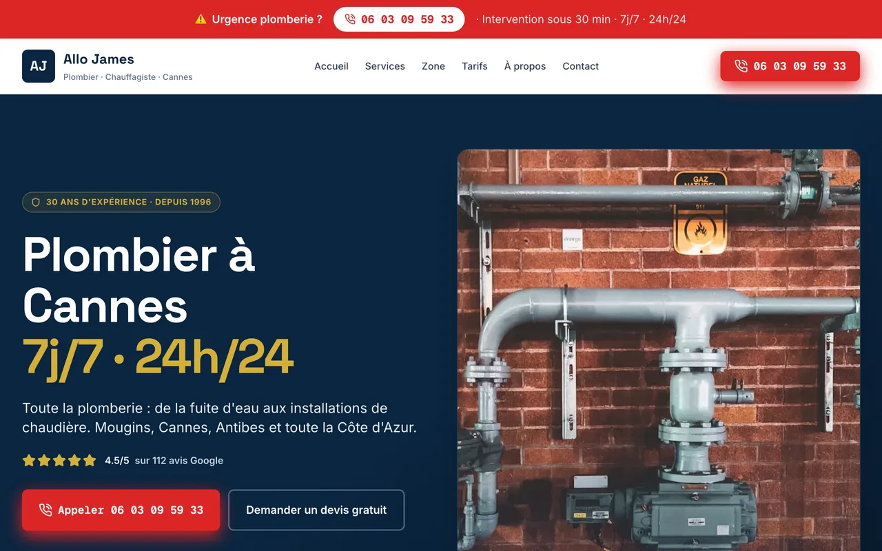 Aperçu du site Allo James